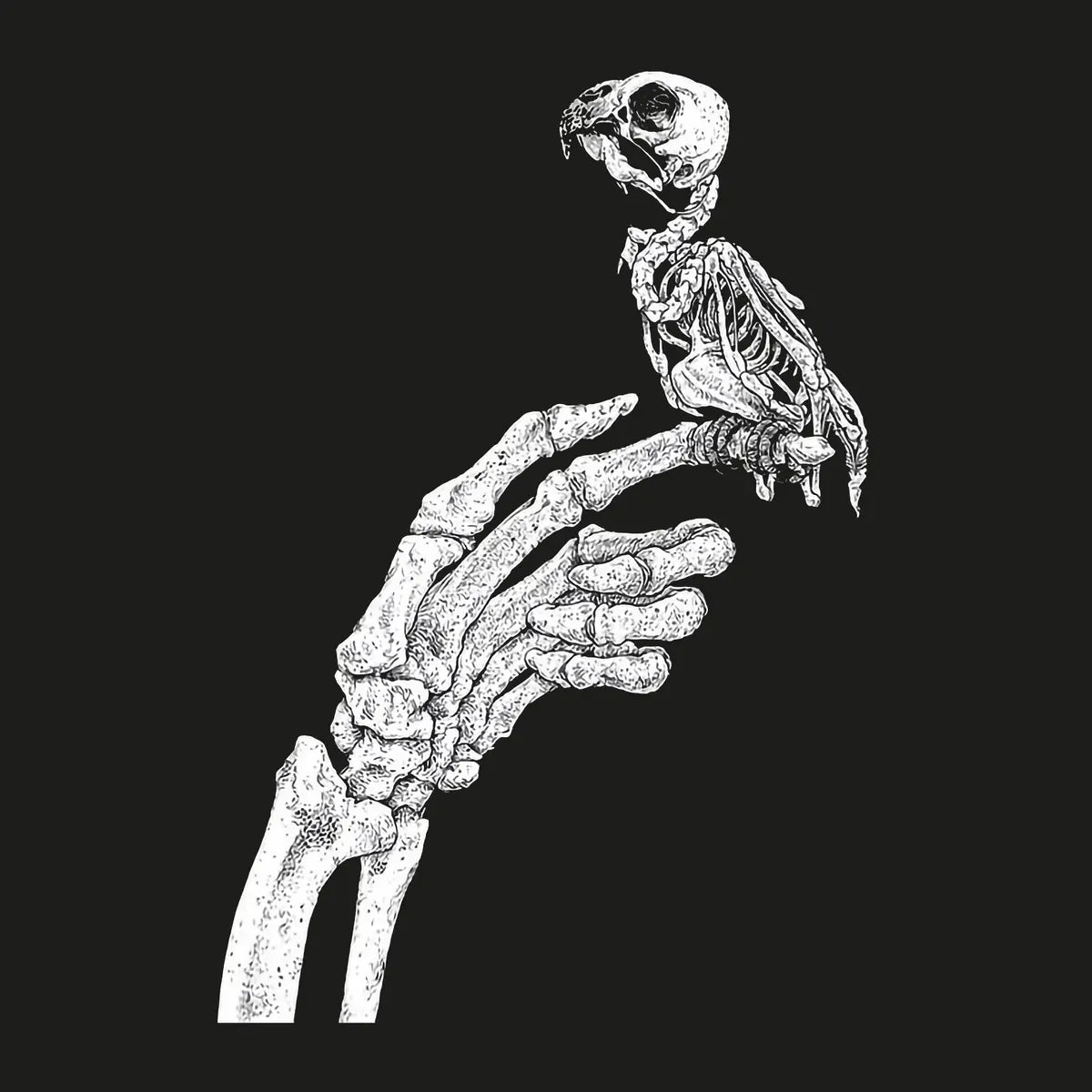 Minnieskull Cool Bone Claws And Bird Print Designer Hoodie Image - 2