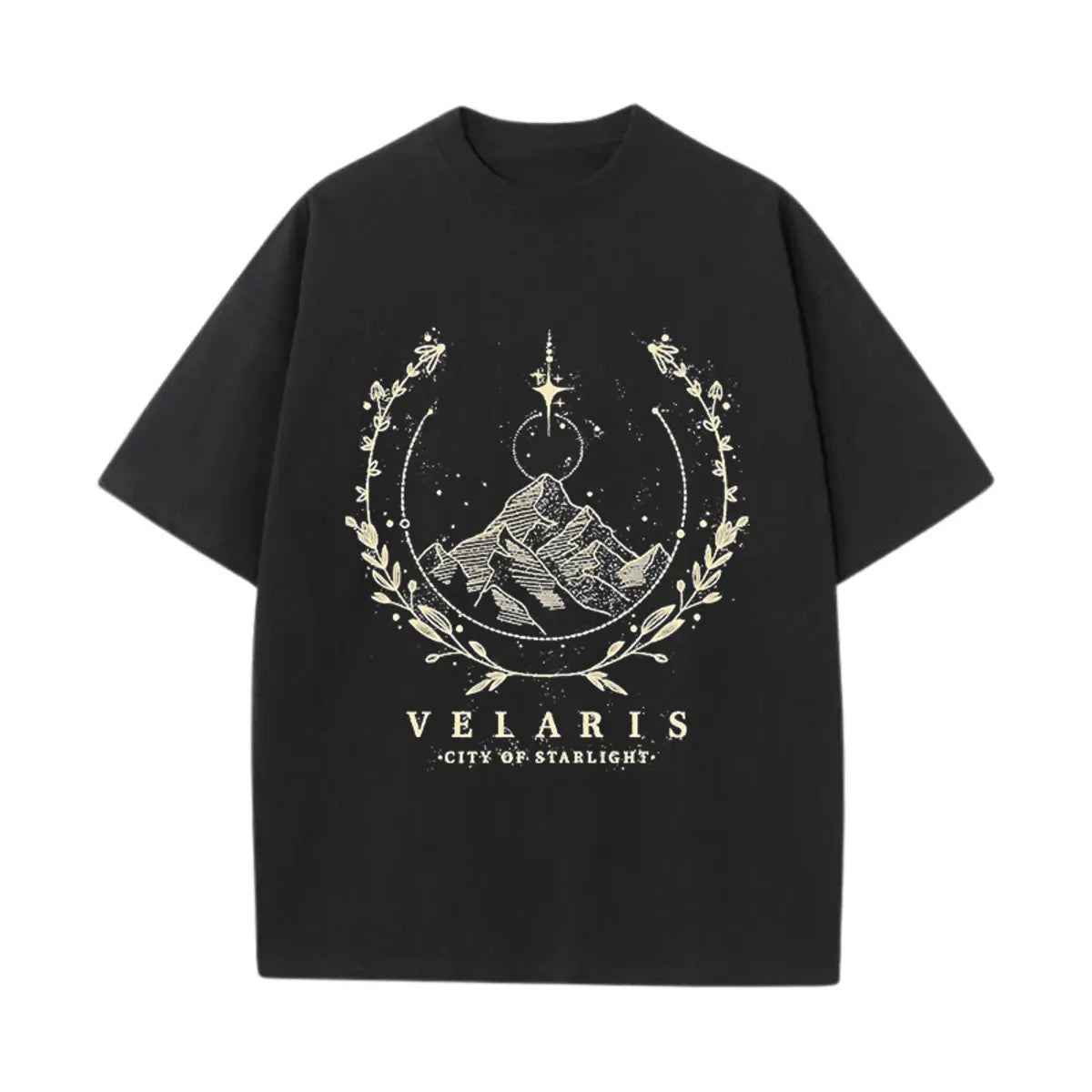 Vintage Style Velaris Book Printed Oversized Unisex T-shirts