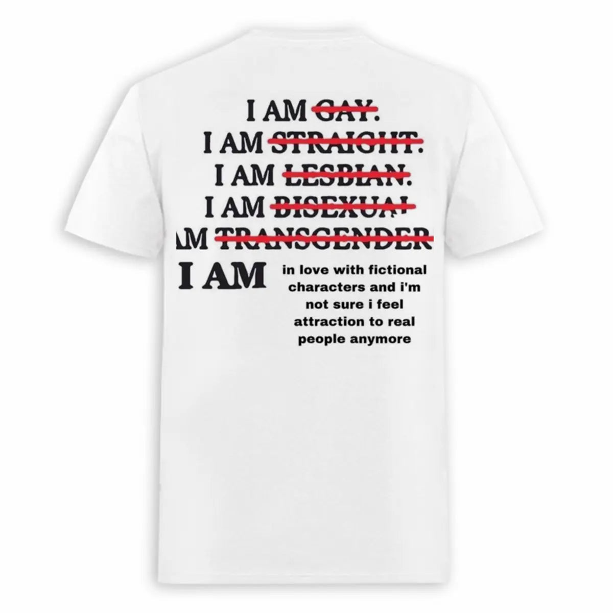 I Am In Love With Fictional Characters Printed Oversized Unisex T-shirts