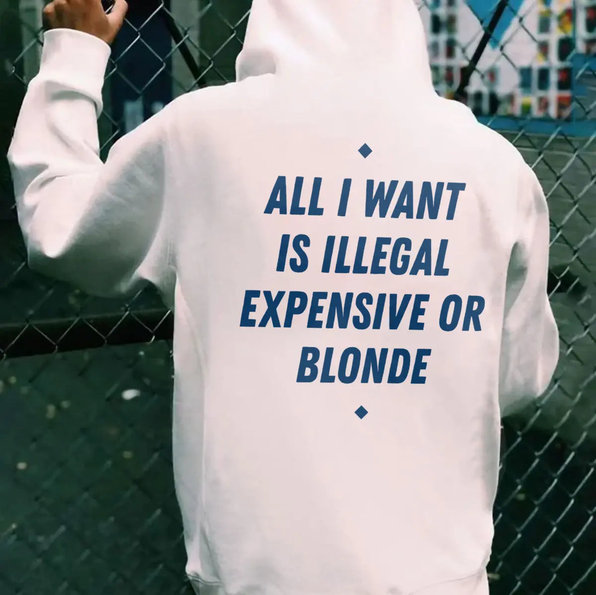 All I Want Is Illegal Expensive Or Blonde Printed Fleece-lined Unisex Hoodie