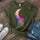 Neojana Colorful Moon Rainbow Printed Tees - chicyea