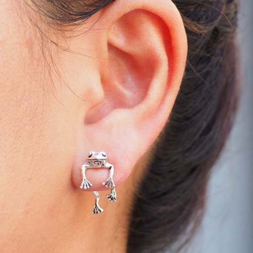 Retro Funny Frog Women Earrings - chicyea