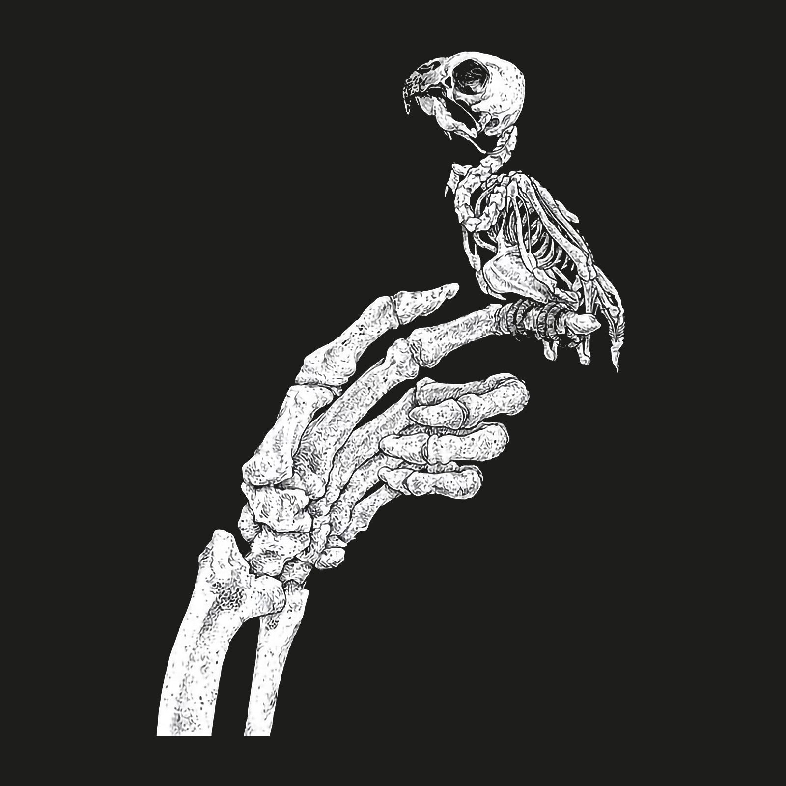 Minnieskull Cool Bone Claws And Bird Print Designer Hoodie - chicyea