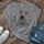 Neojana Funny Astronaut Print Crew Neck T-Shirt - chicyea